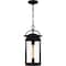 Quoizel Clifton Outdoor Hanging 1 Light Earth Black CLI1909EK - alternate 1
